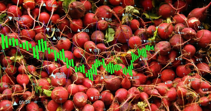 Showing radishes with root fibers in closeup with green bar charts and yellow line graphs