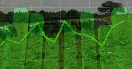 Fotobehang Zuivelwaren Showing herd of dairy cows grazing in lush pasture, with bar, line graph and grid overlay  © vectorfusionart