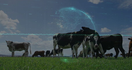 Grazing Holstein cows on green pasture, with holographic globe and turquoise waveform overlays