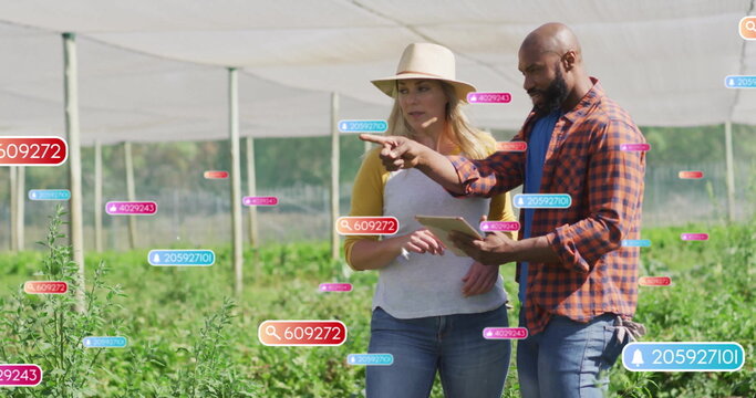 Farm technician and manager scanning leafy crops under shade-netting, with tablet and data labels