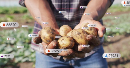 Holding soil-covered potatoes farmer wearing plaid shirt working in potato field, with social icons