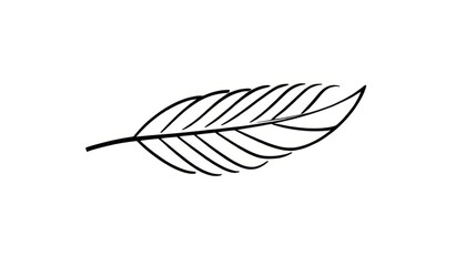 Single Feather A stylized feather with a single curve and lines