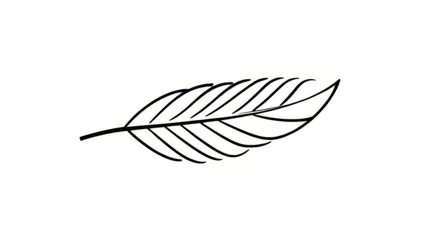 Single Feather A stylized feather with a single curve and lines