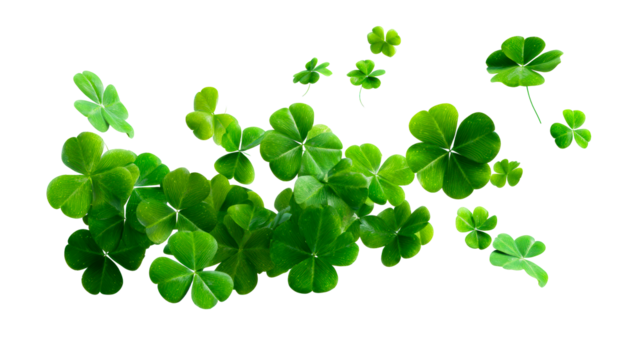 Flying green clover leaves scattered against a white background, cut out transparent