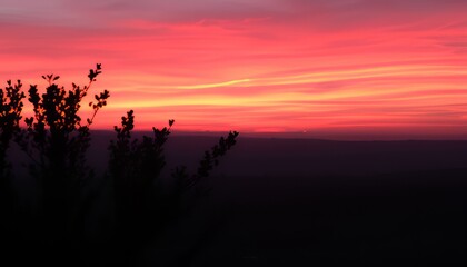 Obraz premium Sunset Pink A warm fiery pink evoking the colors of a setting su