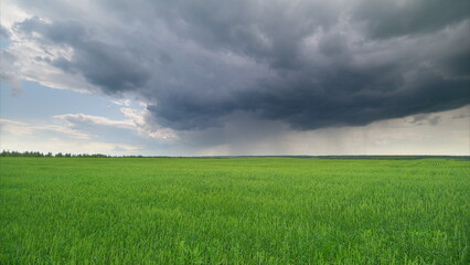 Observe the Dramatic Skies Over the Lush Green Fields in a peaceful rural setting