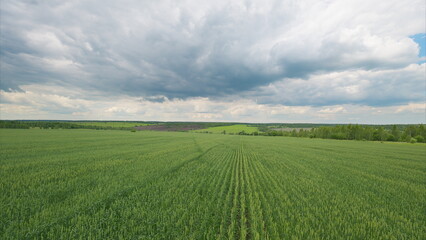 Lush, vibrant green fields stretching out beneath a dramatic and cloudy sky that captivates