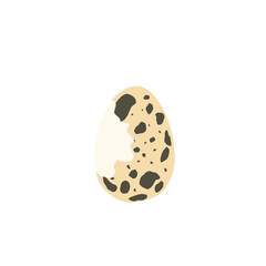 Quail egg illustration. Whole and cut quail eggs. Egg illustration. Boiled quail eggs. Quail egg shell design