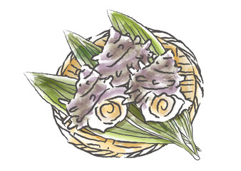 竹ざるに並べた新鮮なサザエ貝　手描き筆タッチの和風イラスト