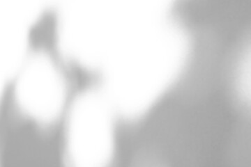 Abstract natural tree branch leaves shadow on white wall background