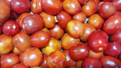 fresh red tomatoes