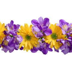 Vibrant floral arrangement nature colorful beauty isolated on transparent background