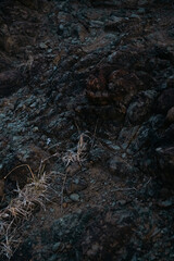Rocky terrain illuminated by nighttime ambience showcasing natural textures.
