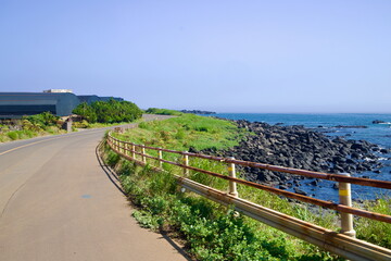 Guardrail above Basalt Shore © koreabybike