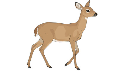Fototapeta premium Graceful Tan Fawn Walking Elegant Wildlife Nature Isolated on Transparent Background