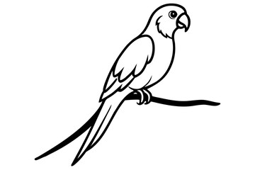 line art Parrot on branch silhouette vector