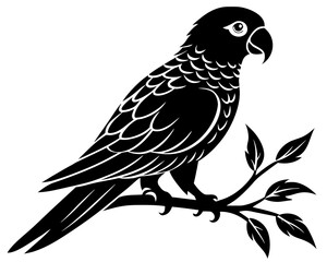 Parrot on branch silhouette vector