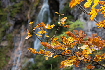 Silberkarklamm in der Steiermark