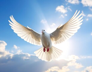 White dove in mid-flight spreading wings wide against blue sky and sunlight with clouds

