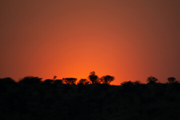 Lever du jour sur la savane en Namibie