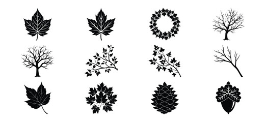 Set of Black and White Vector Illustrations of Trees Leaves and Pinecone