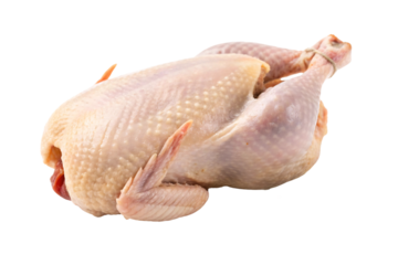 Raw whole chicken with smooth pale skin and visible drumsticks and wings, isolated on a transparent background