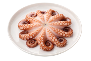 Cooked octopus tentacles with suction cups arranged on white ceramic plate, isolated on a transparent background