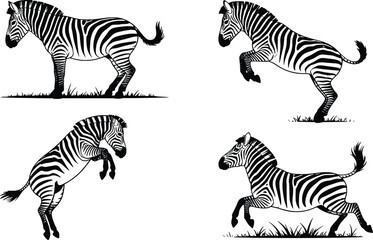 Fototapeta premium Four dynamic zebra poses capturing majestic african wildlife in action and motion