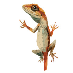 Naklejka premium UpwardGazing Orange Anole Lizard with Extended Toes and Watercolor Texture