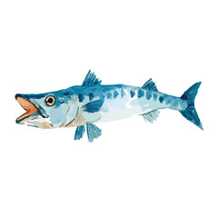 Fototapeta premium Watercolor Illustration of a Barracuda with Open Mouth and Detailed Fins