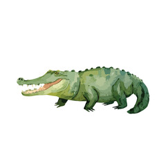 Watercolor Style Green Crocodile Illustration Side Profile Open Mouth