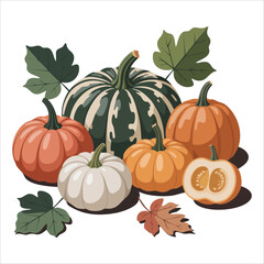colorful autumn pumpkin collection with various shapes vector art isolated on white background