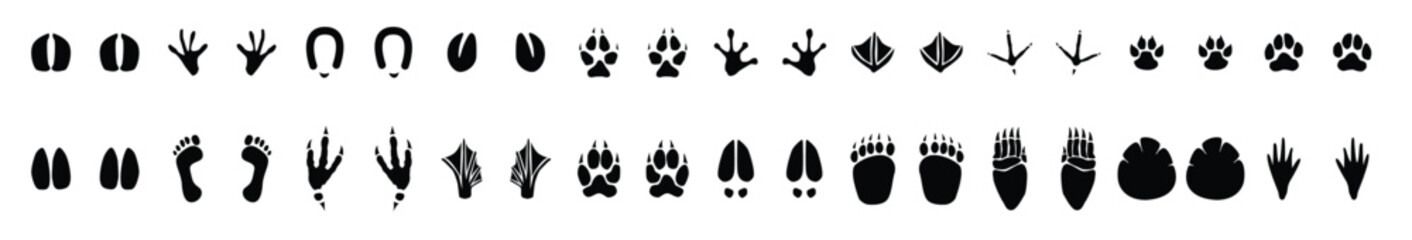 Wild life footprint tracks. Animals and birds paws prints, black silhouettes traces, hunters. Animal Footprints Line Icons Set, Editable Stroke Animal Paw Print Icon Set, vector illustration © Max