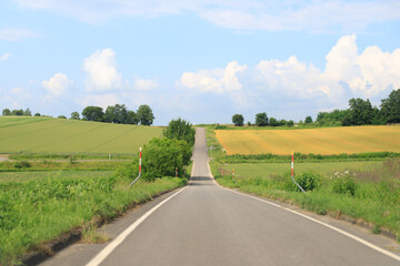 Countryside Road Leading Through Farmlands Under a Bright Summer Sky, Biei, Hokkaido, Japan