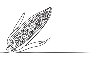 Monoline Corn Cob A Simple Line Art Illustration