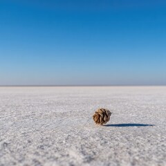 A solitary, light brown pinecone rests on a vast, white salt flat beneath a clear blue sky