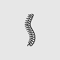 Black line art illustration of human vertebral column spine human anatomy