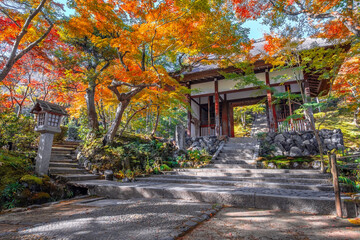 Scenic view of Jojakkoji Temple with beautiful foliage in autumn in Kyoto, Japan