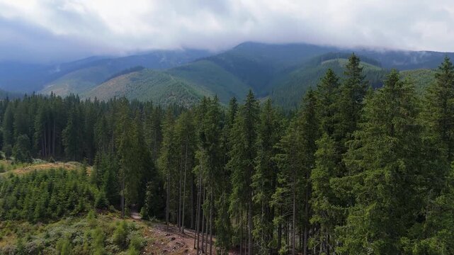 Aerial footage of Demanovska Dolina in Slovakia, showing Jasna ski resort, Vrbicke pleso lake, mountain peaks, and drifting clouds. Beautiful nature and travel visuals from the Zilina region