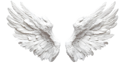 stunning oversized fantasy angel wings isolated on a transparent background
