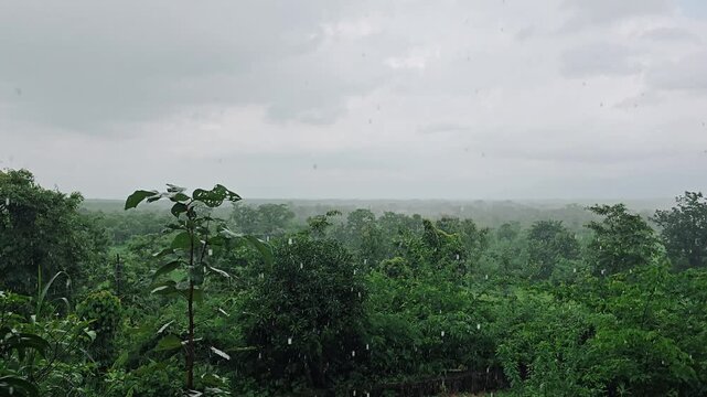 misty morning in the mountains of India, monsoon season
