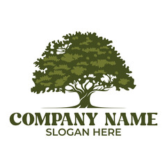 Obraz premium Oak tree logo design illustration. tree vector silhouette template
