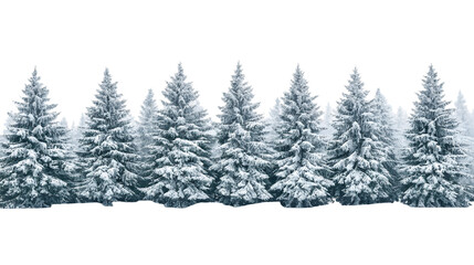 Snowy landscape with pine trees covered in snow isolated on transparent background