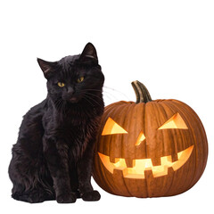 Halloween Collection with Pumpkin, Cat, Spider, Vampire Lips, and Horns PNG