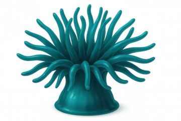 Turquoise sea anemone with long tentacles standing on transparent background, creating a captivating underwater scene