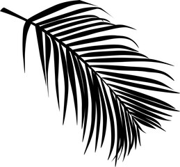Branch of tropical palm silhouette leaf and foliage, Hawaii nature, vector illustration graphic design for summer themes.