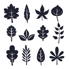 Obraz premium Isolated dark silhouettes showcase an assortment of different leaf shapes and unique botanical features