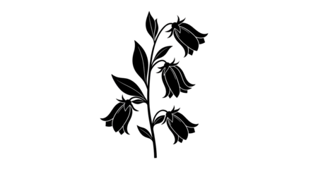 Silhouette of bellflower with stem and leaves isolated PNG with Transparent Background