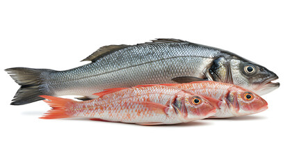 Obraz premium A fresh salmon fish displayed on white plate for cooking