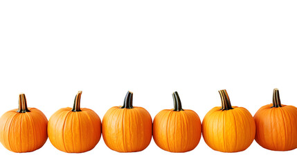 Obraz premium pumpkin patch isolated on a transparent background